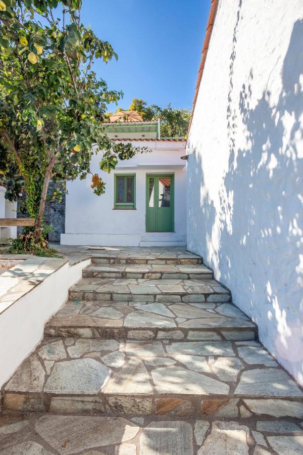 Olea Skopelos Villas With Swimming Pools & Sea View Panormos  Eksteriør bilde