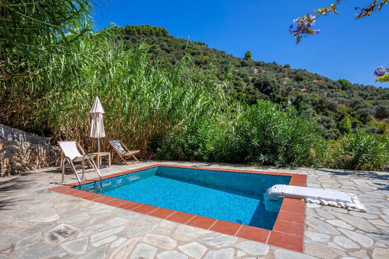 Olea Skopelos Villas With Swimming Pools & Sea View Panormos  Eksteriør bilde