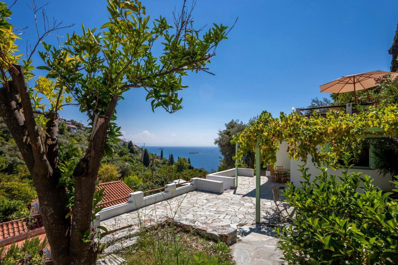 Olea Skopelos Villas With Swimming Pools & Sea View Panormos  Eksteriør bilde