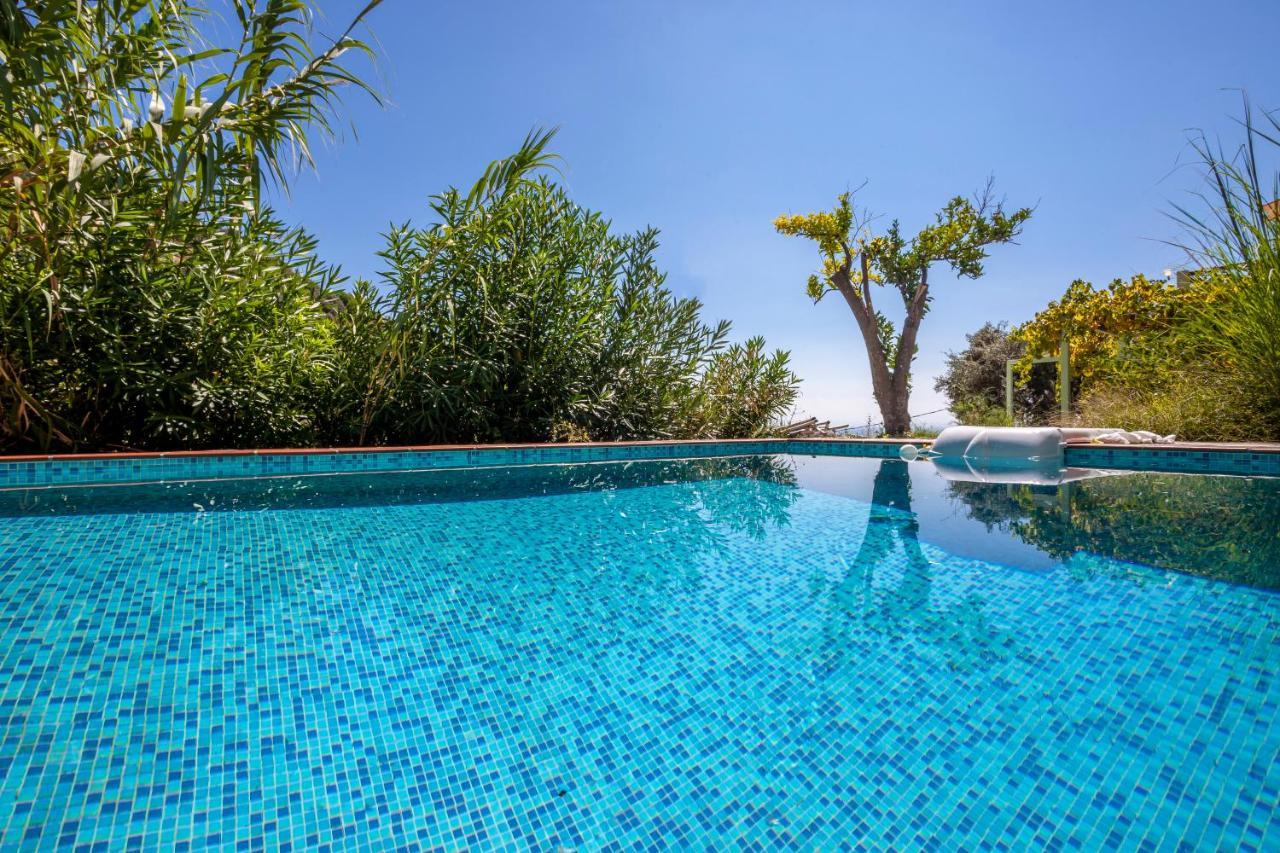 Olea Skopelos Villas With Swimming Pools & Sea View Panormos  Eksteriør bilde