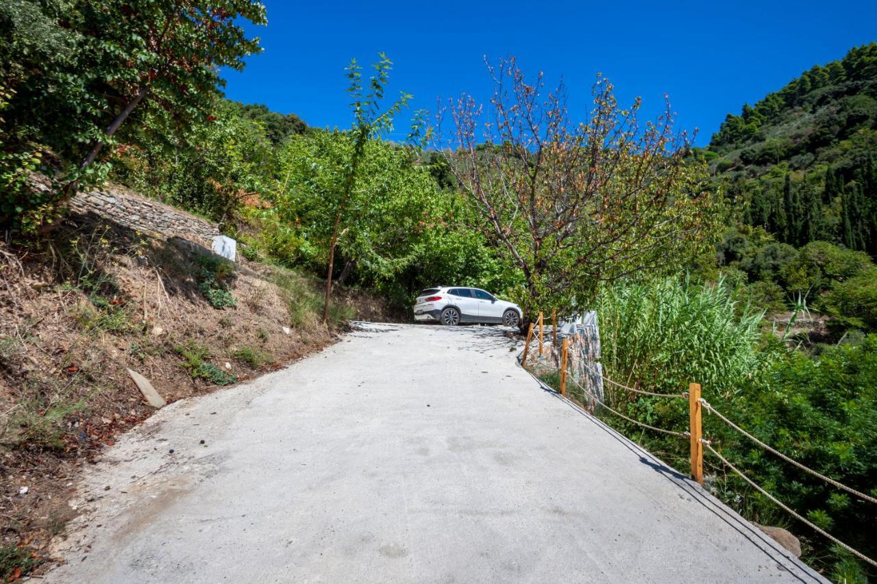 Olea Skopelos Villas With Swimming Pools & Sea View Panormos  Eksteriør bilde