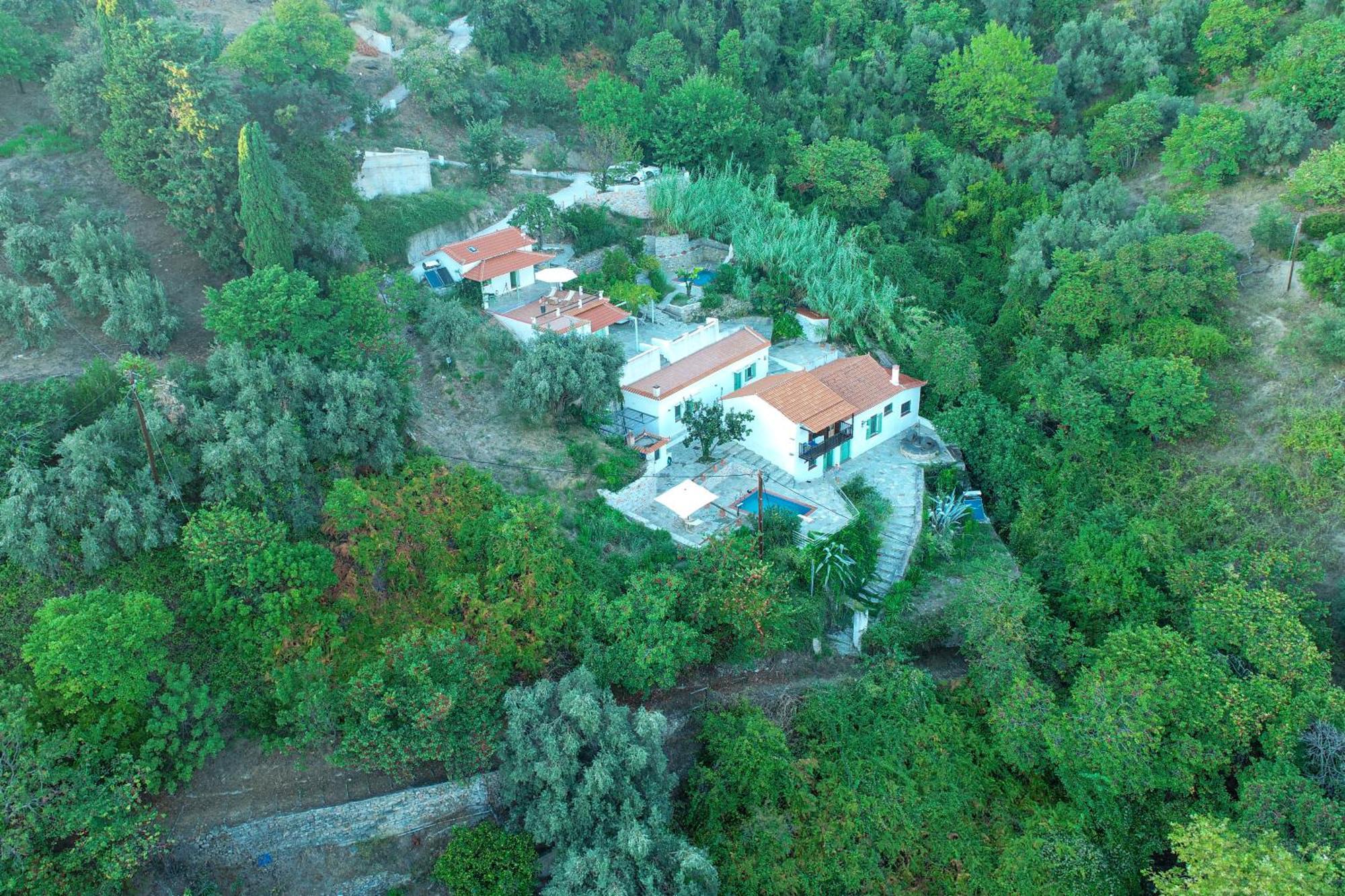 Olea Skopelos Villas With Swimming Pools & Sea View Panormos  Eksteriør bilde